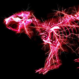 小坂七香作品封面介绍大全
