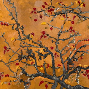 小坂七香作品封面介绍大全
