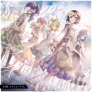 小坂七香作品封面介绍大全
