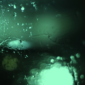 小坂七香作品封面介绍大全
