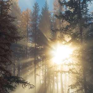 小坂七香作品封面介绍大全
