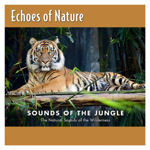 小坂七香作品封面介绍大全
